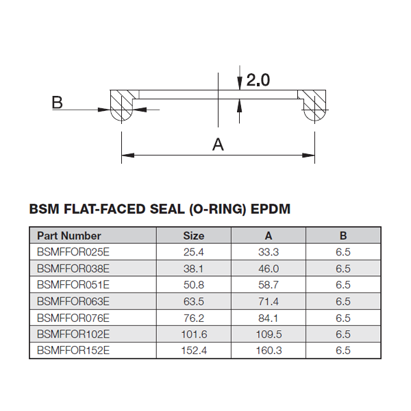 76 2 BSM FLAT FACE EPDM ORing Prochem